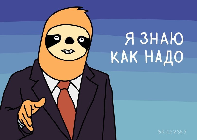 Our candidate! - Elections, Candidates, Brilevsky, Sloth, Longpost, Politics