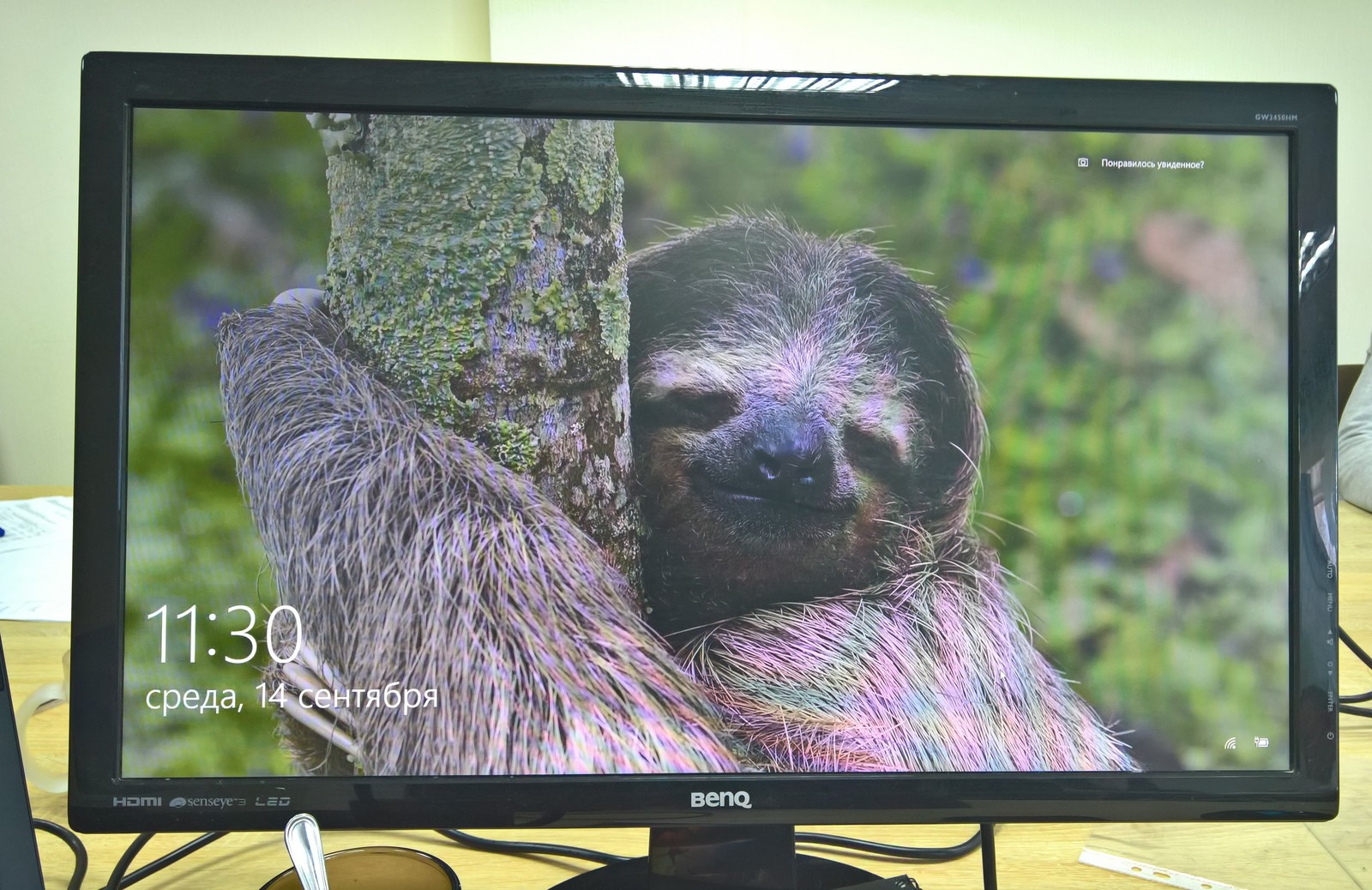 Motivation from Microsoft - My, Work, Motivation, Windows 10, Microsoft, Sloth