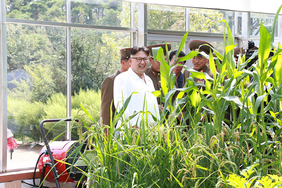 Exhibition of Achievements of the National Economy for Kim Jong-un - North Korea, Kim Chen In, Corn, Longpost