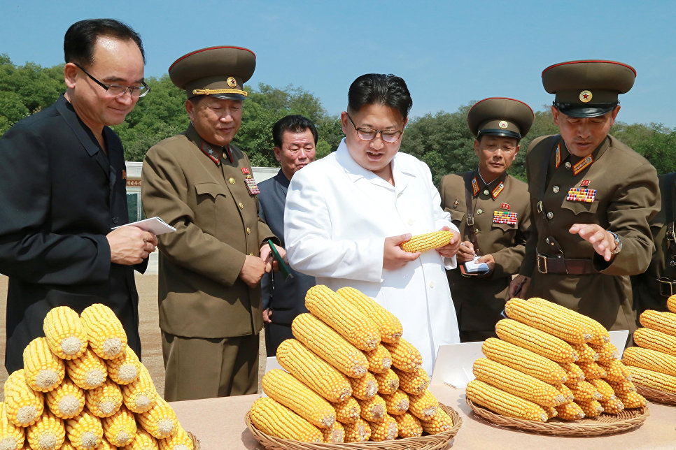 Exhibition of Achievements of the National Economy for Kim Jong-un - North Korea, Kim Chen In, Corn, Longpost