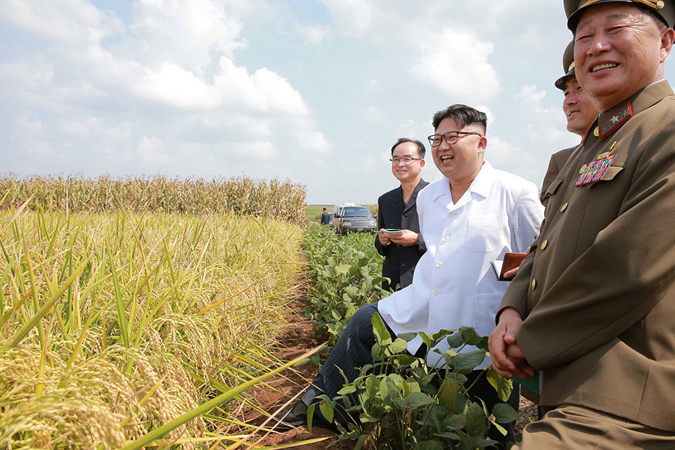 Exhibition of Achievements of the National Economy for Kim Jong-un - North Korea, Kim Chen In, Corn, Longpost