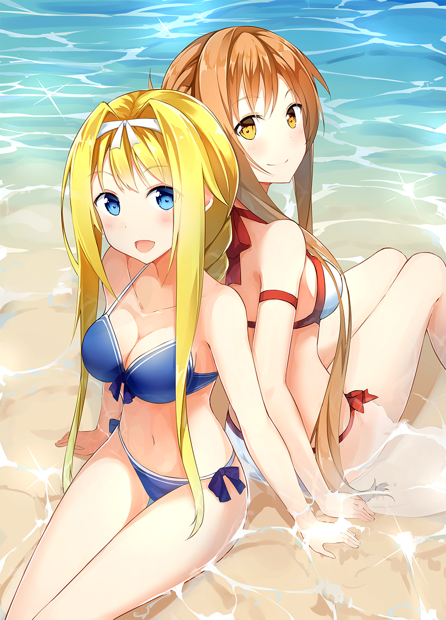 Sword art online. Alice and Asuna | Пикабу