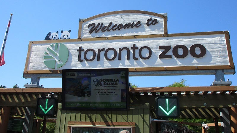 Zoo in Toronto - My, Canada, Toronto, Zoo, Longpost