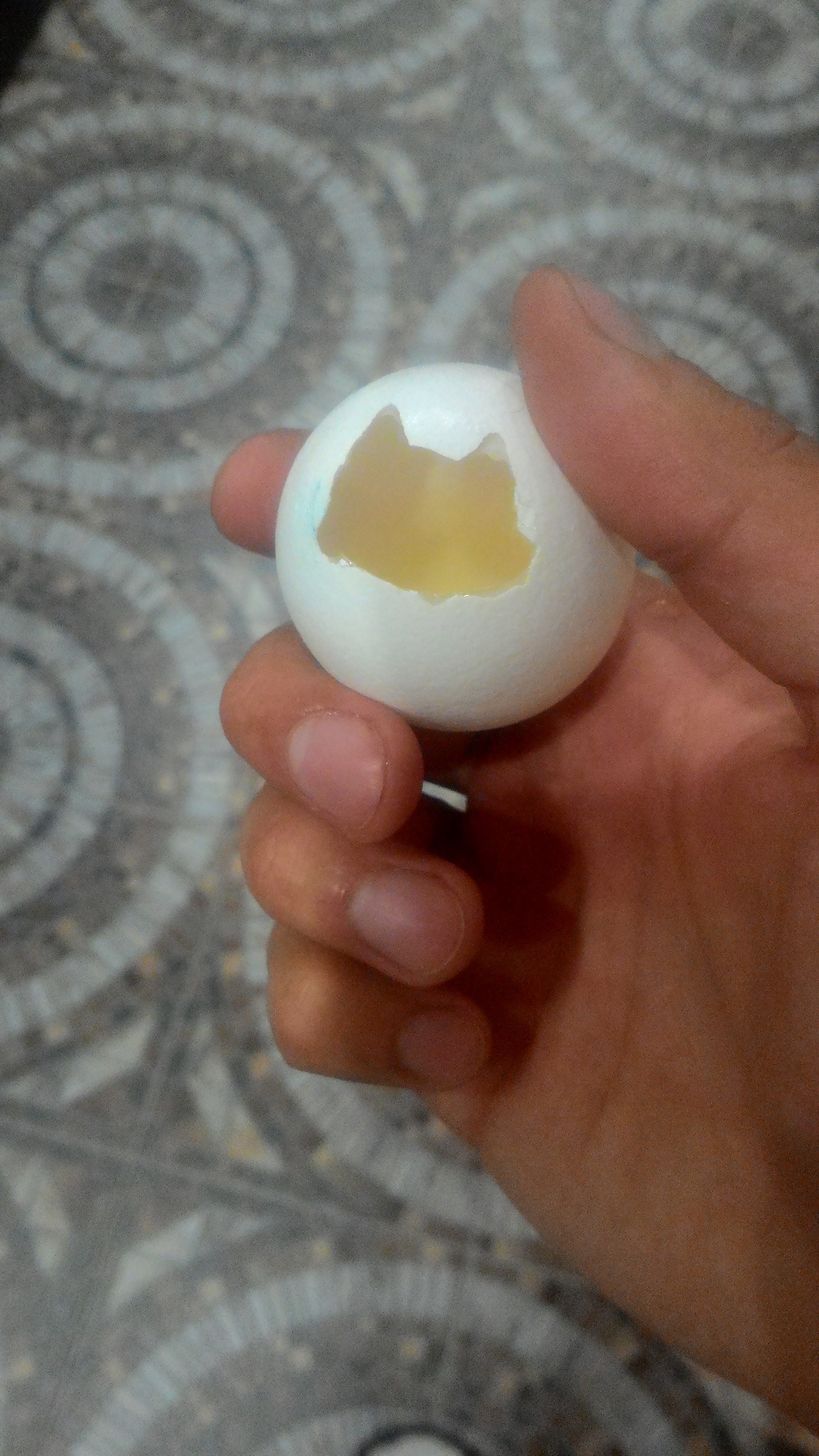 Broke an egg. cat - Suddenly, Dinner, Eggs, cat, First post