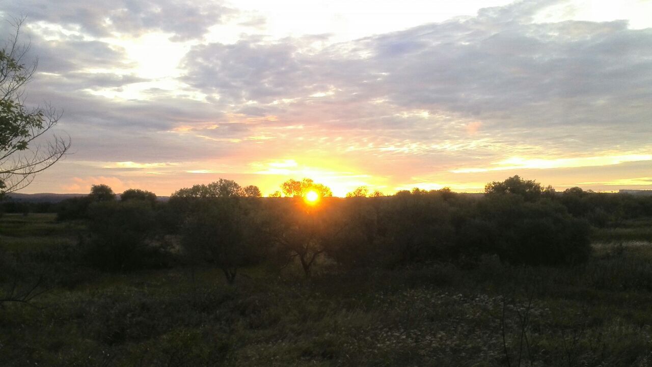 Sunrises and sunsets - My, dawn, Sunset, Sunrises and sunsets, Nature, Khabarovsk, Jewish Autonomous Region, Amur