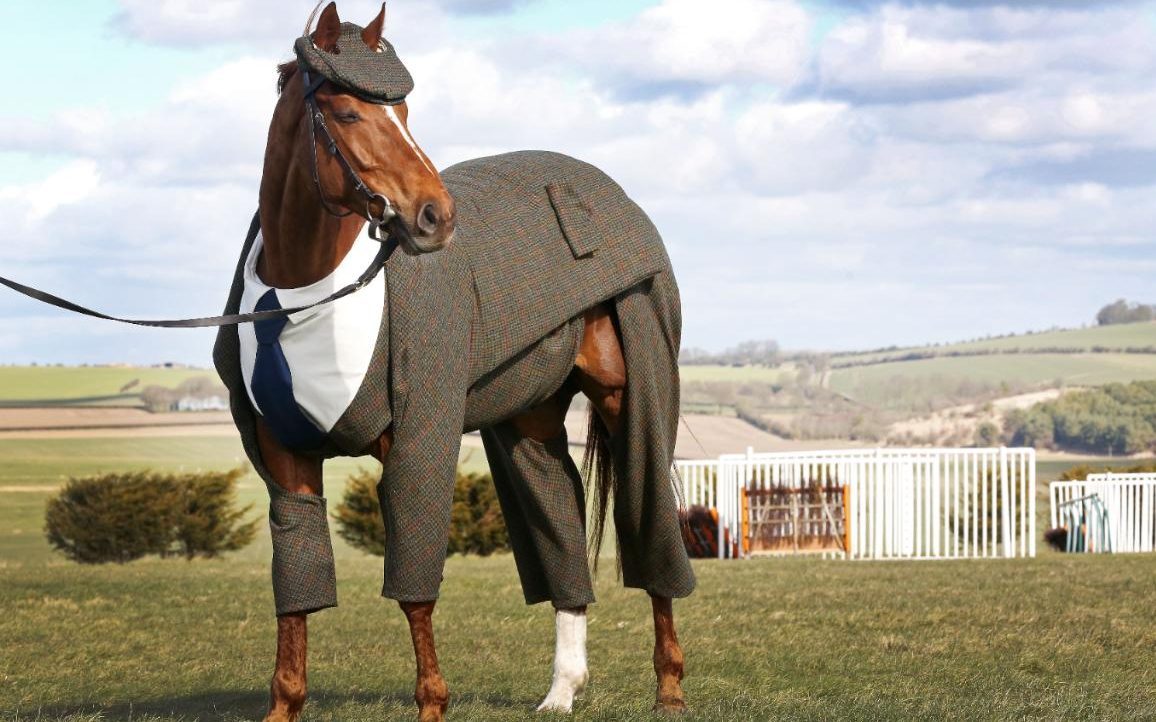 Good afternoon gentlemen - Photo, Horses, Great Britain