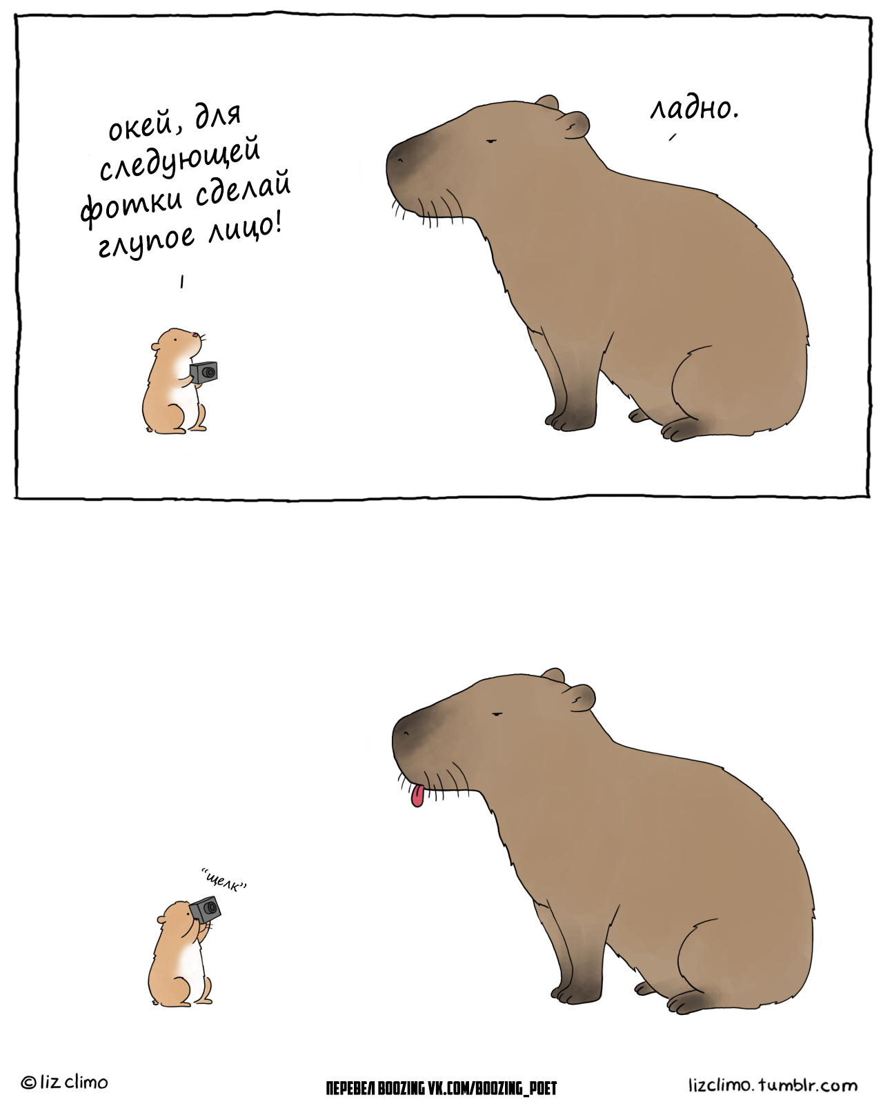 Капибара [Hi, I'm Liz] - Моё, Lizclimo, Liz climo, Капибара, Комиксы, Перевод