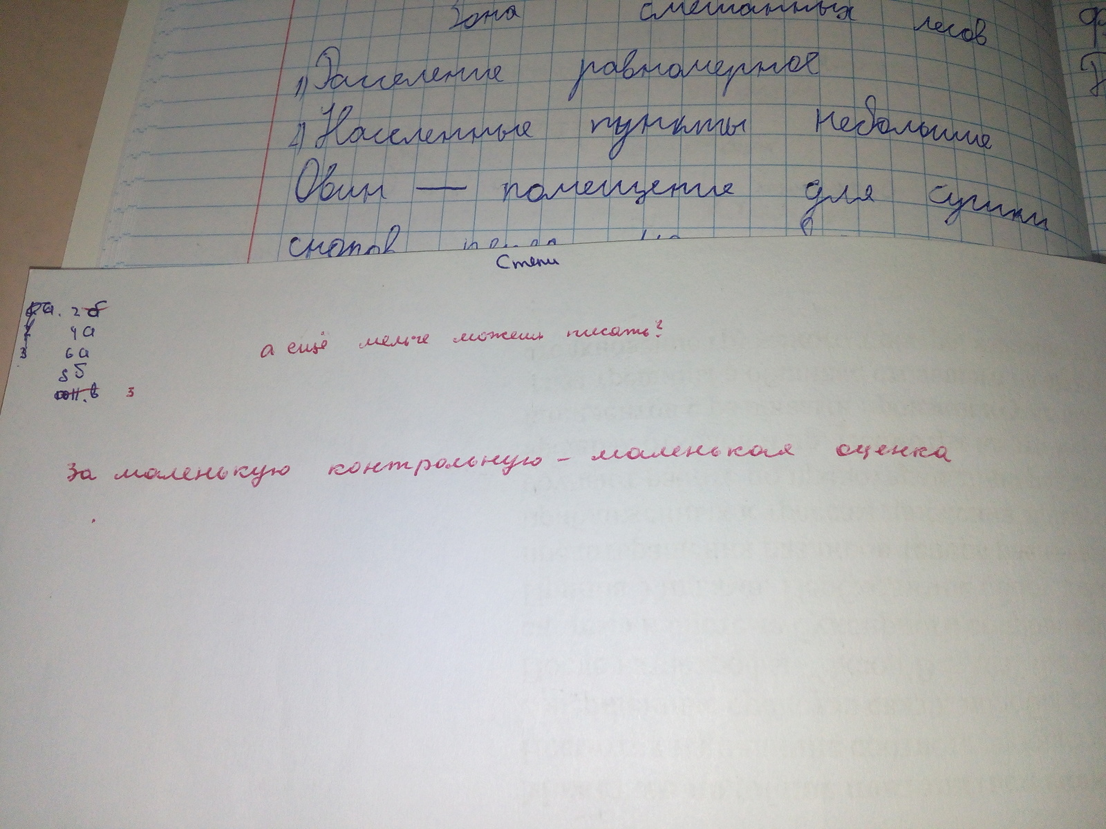 Юмор ученика и юмор учителя | Пикабу