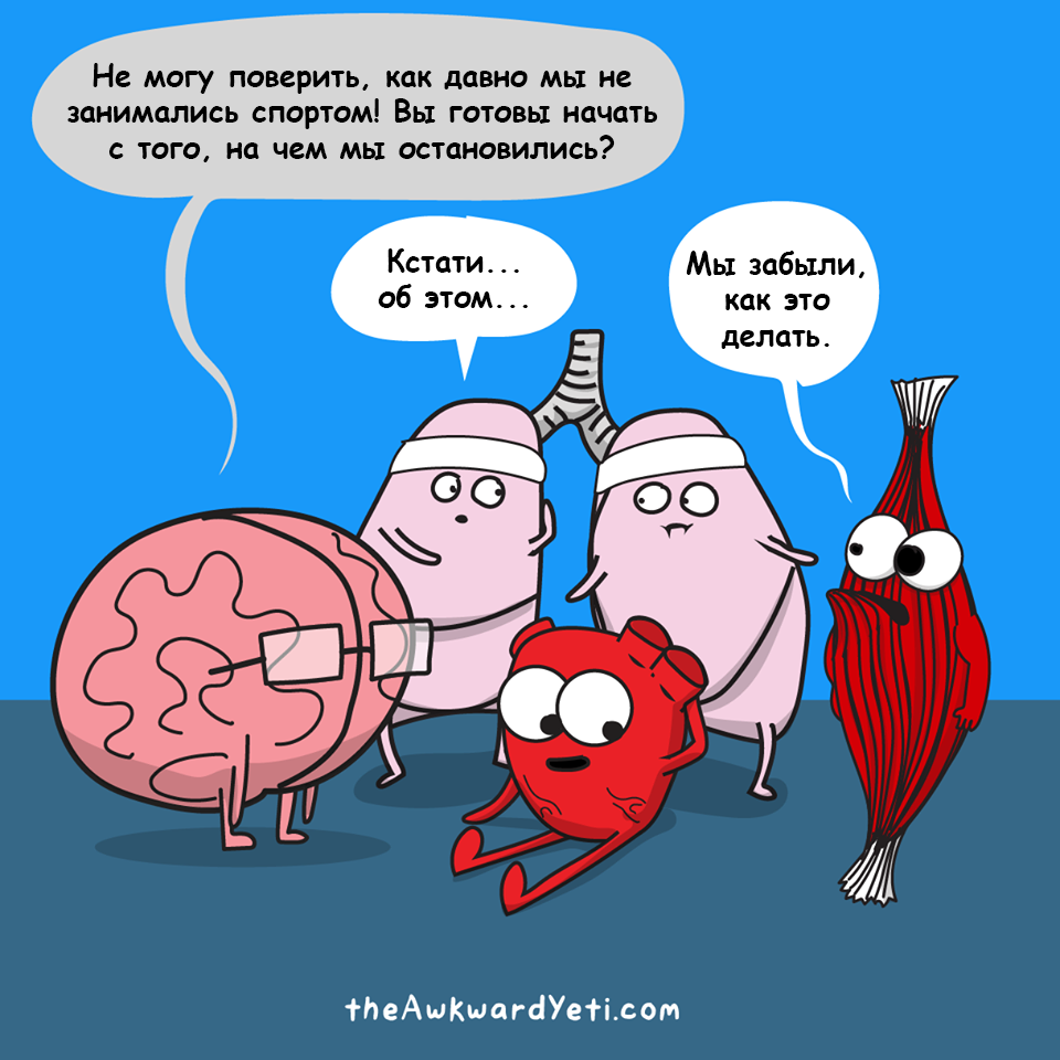 Тренировка - Awkward Yeti, Комиксы, Тренировка, Жизнь, Перевод, Организм