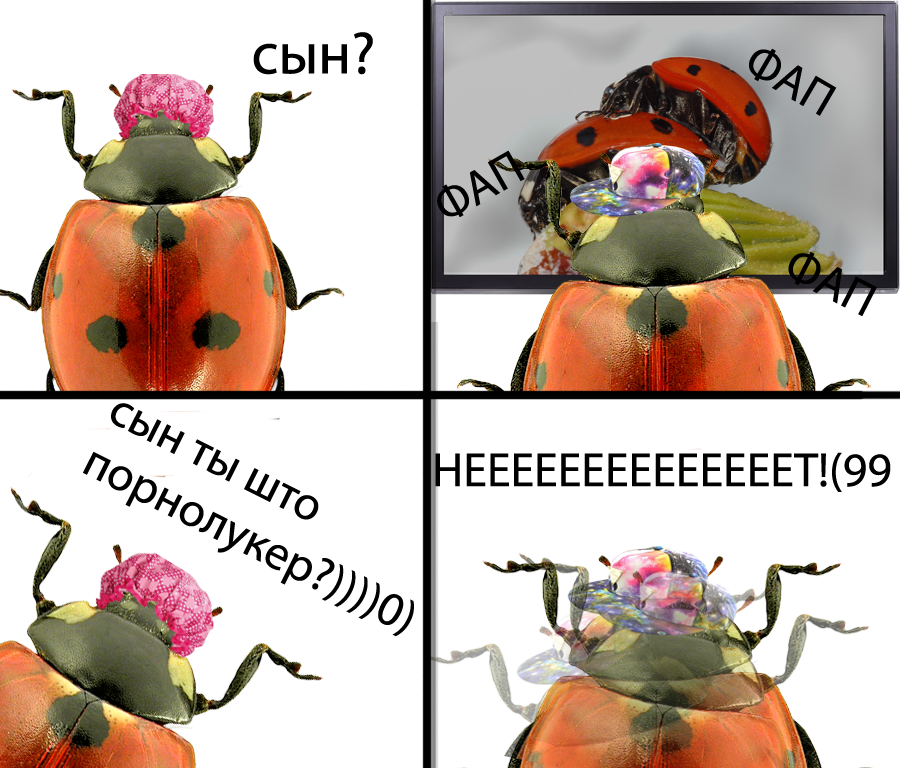Pornlooker?))0) - My, ladybug, Porn, Memes