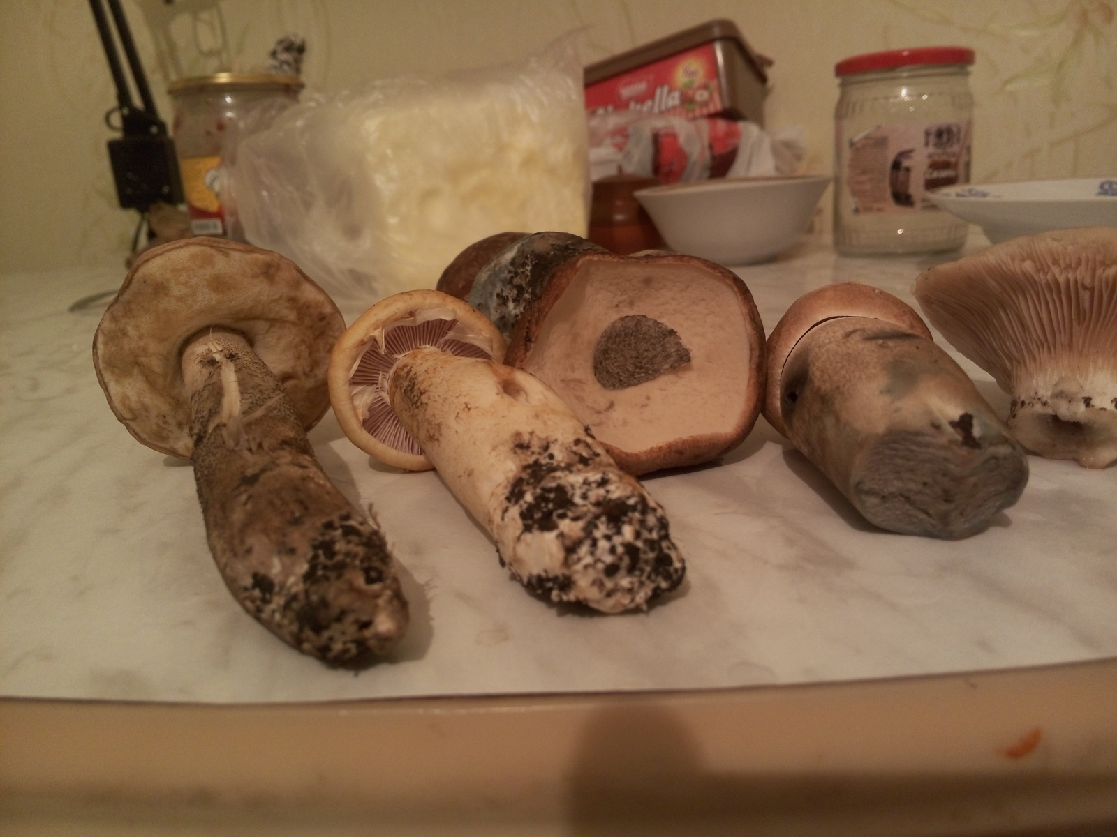 First Silent Hunt - Mushrooms, Russian roulette, Silent hunt, Longpost