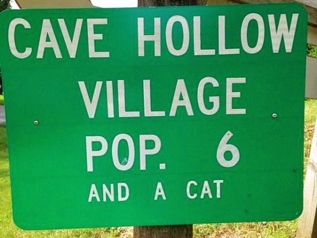 He's in charge there. - Signs, Village, cat, Translation