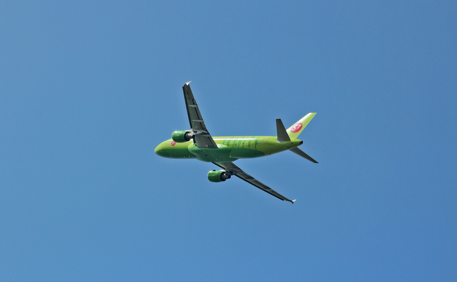 Under the fence of Vladivostok airport - My, Aviation, The photo, Vladivostok, , Longpost