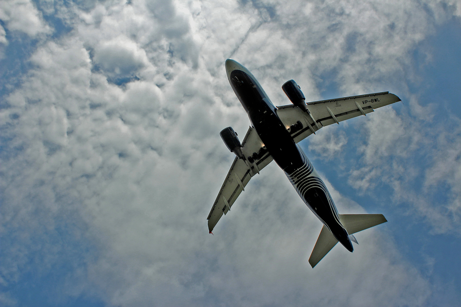 Under the fence of Vladivostok airport - My, Aviation, The photo, Vladivostok, , Longpost