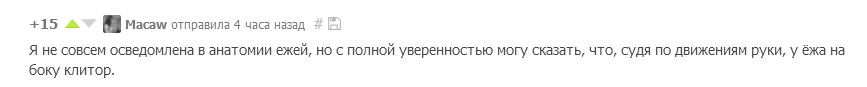 Мсье Мадмуазель знает толк - Работа, Сон, Ёжик, Клитор, Гифка, Комментарии, Пикабу