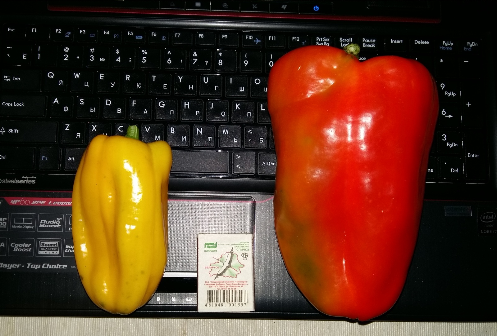 Regular pepper and smoker's pepper (or how much meat does it take to stuff 1 pepper?) - My, Pepper, Big size, Longpost