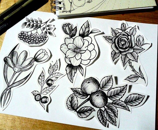 I am learning to draw sketches with a liner. - My, Sketch, Flowers, Drawing, Art, Liner, , Linework, Longpost