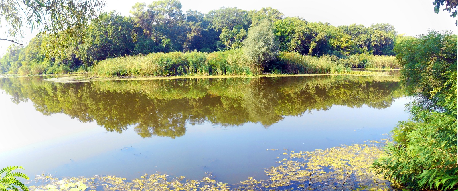 Some panoramic photography. - My, Photo, Landscape, Панорама, Nature, My, Zaporizhzhia, Hey, The photo