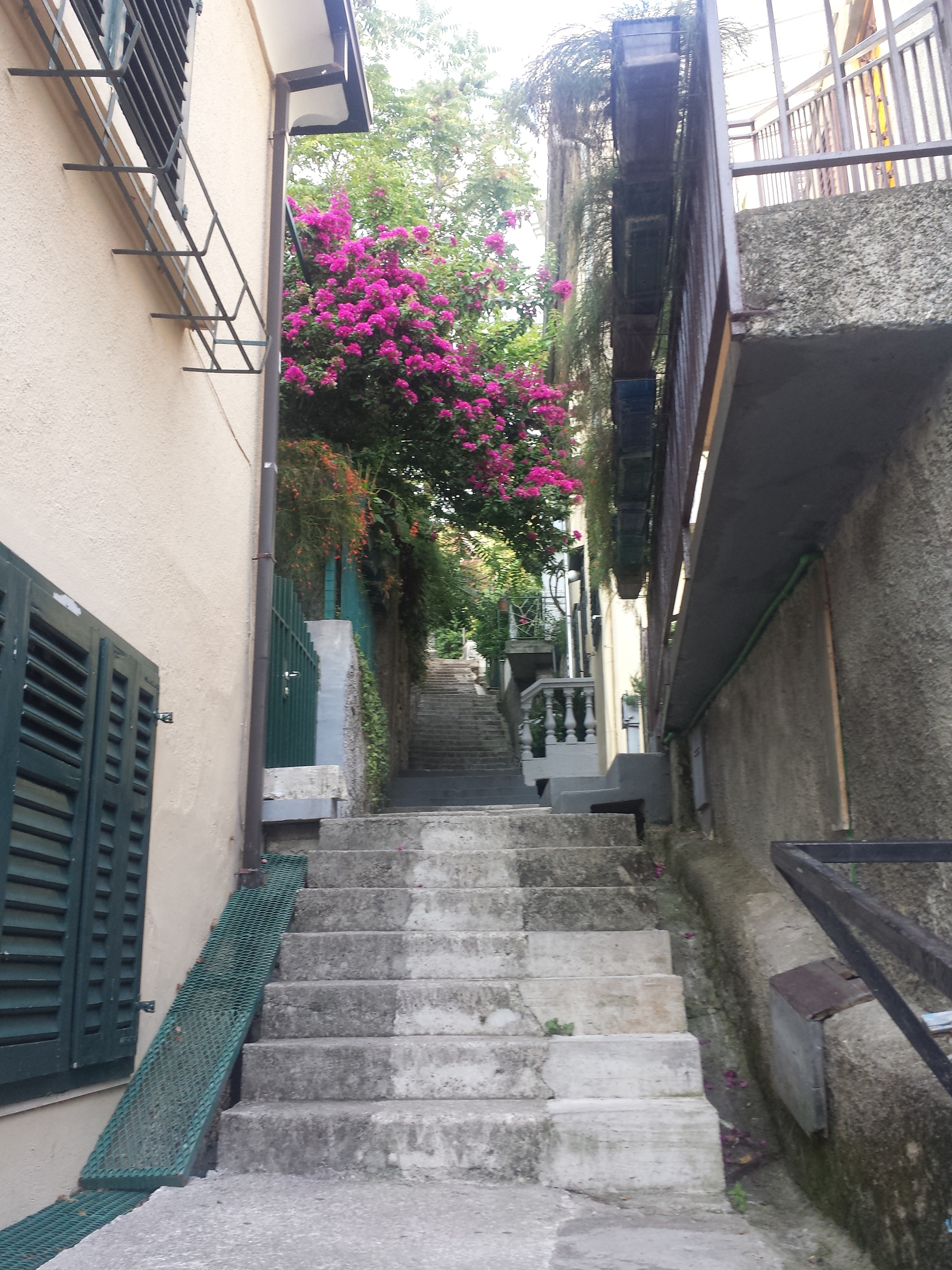 Herceg Novi - the city of a thousand steps. - My, Vacation, Travels, Montenegro, , Text, Photo, Longpost