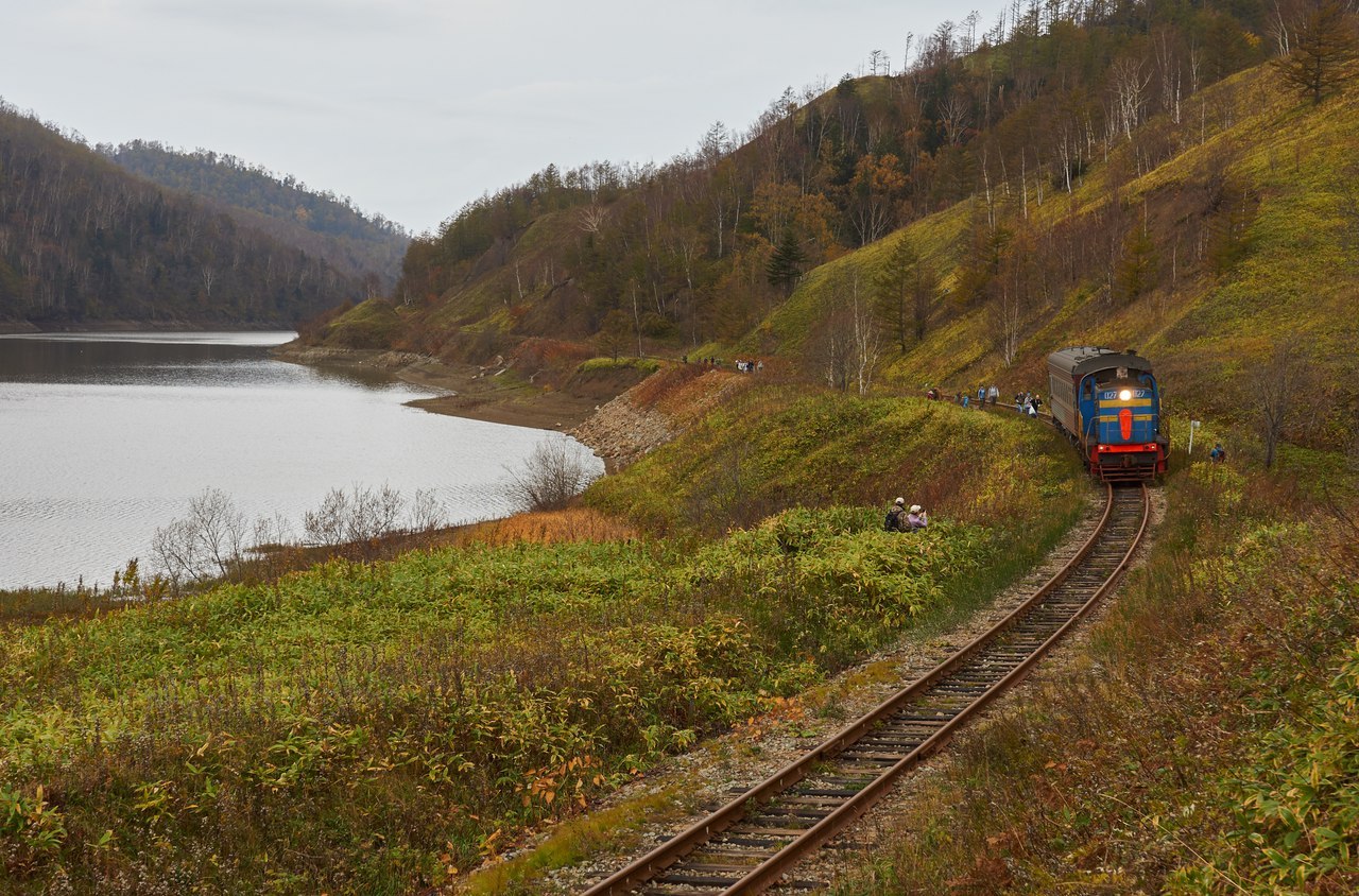 Sakhalin autumn post - Photo, Autumn, Sakhalin, A train, , Sahkom, Longpost