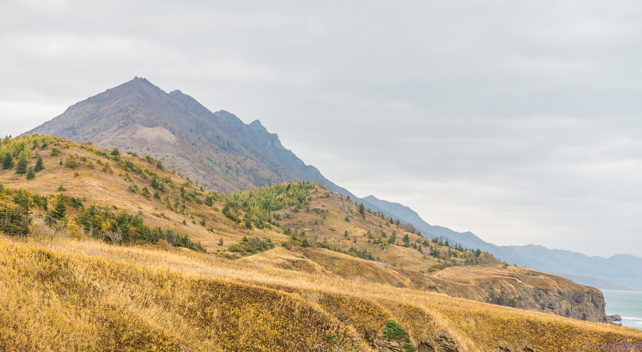 Sakhalin autumn post - Photo, Autumn, Sakhalin, A train, , Sahkom, Longpost