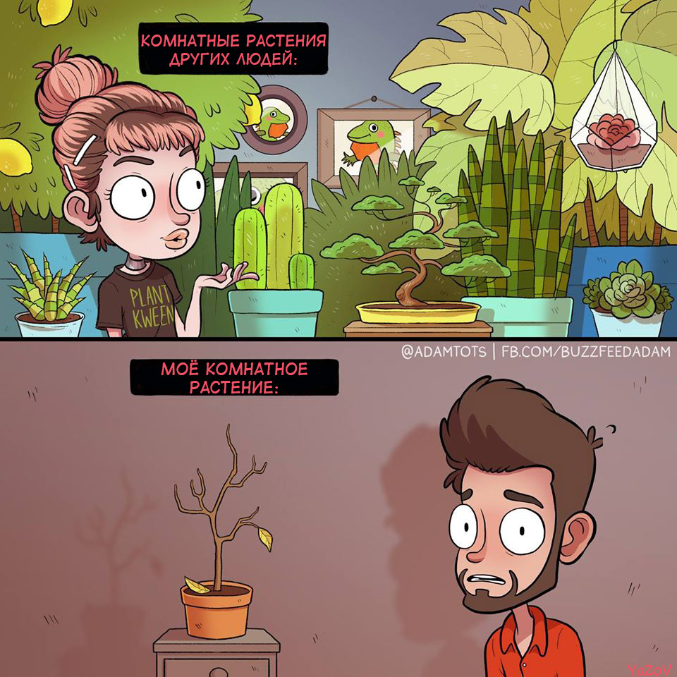 Briefly about my houseplant... - Comics, Houseplants, Adam ellis