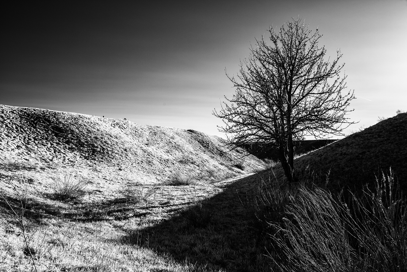 A bit of black and white - My, Photo, The photo, Infrared shooting, Infrared, Black and white photo, Longpost