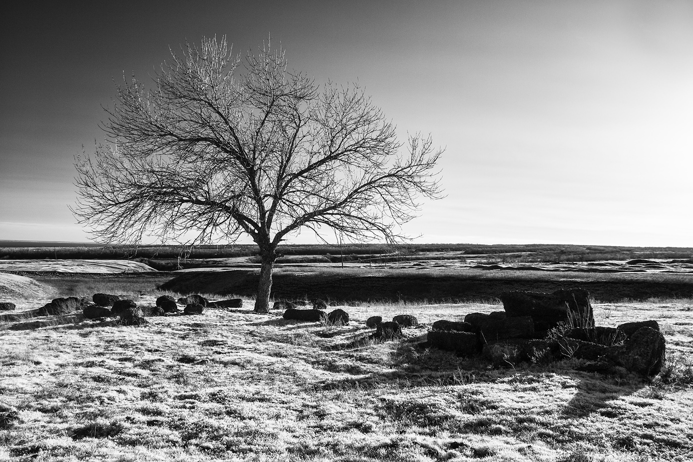 A bit of black and white - My, Photo, The photo, Infrared shooting, Infrared, Black and white photo, Longpost