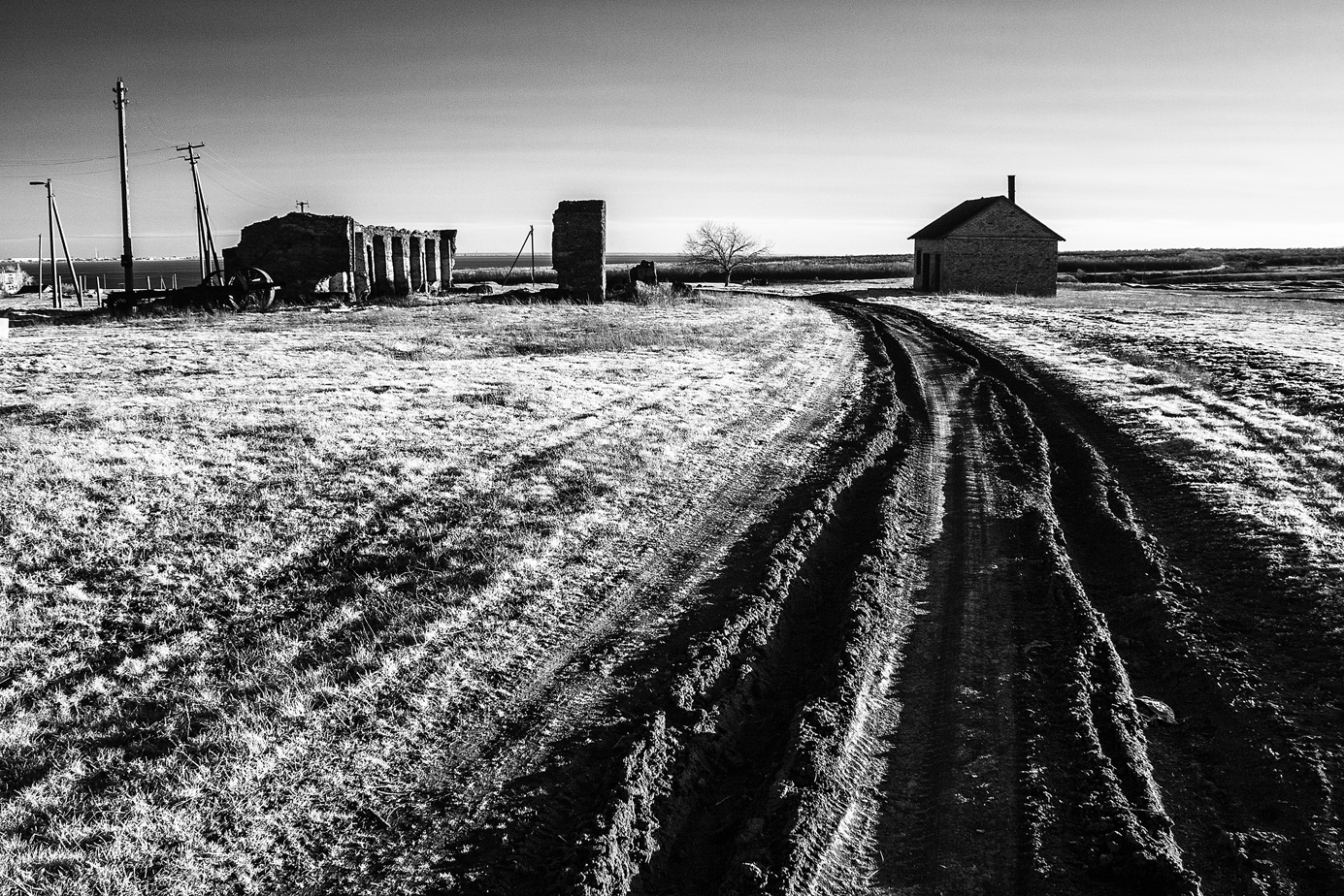 A bit of black and white - My, Photo, The photo, Infrared shooting, Infrared, Black and white photo, Longpost