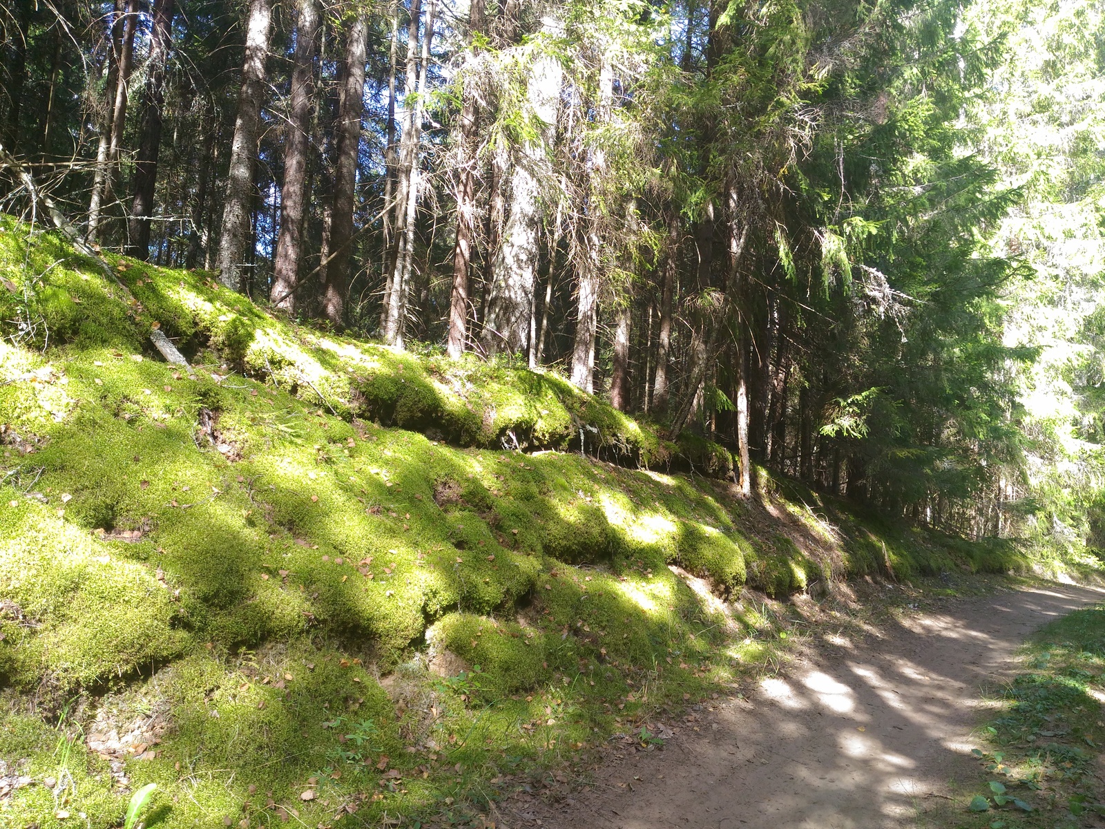 A bit of the Smolensk Lakeland for your feed) - My, Photo, National park, Smolensk region, Nature, Text, Longpost