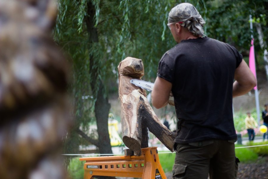 big ass - My, Voronezh City Garden, Chainsaw, Chainsaw sculpture, Alexander Ivchenko, Voronezh, Video, Longpost