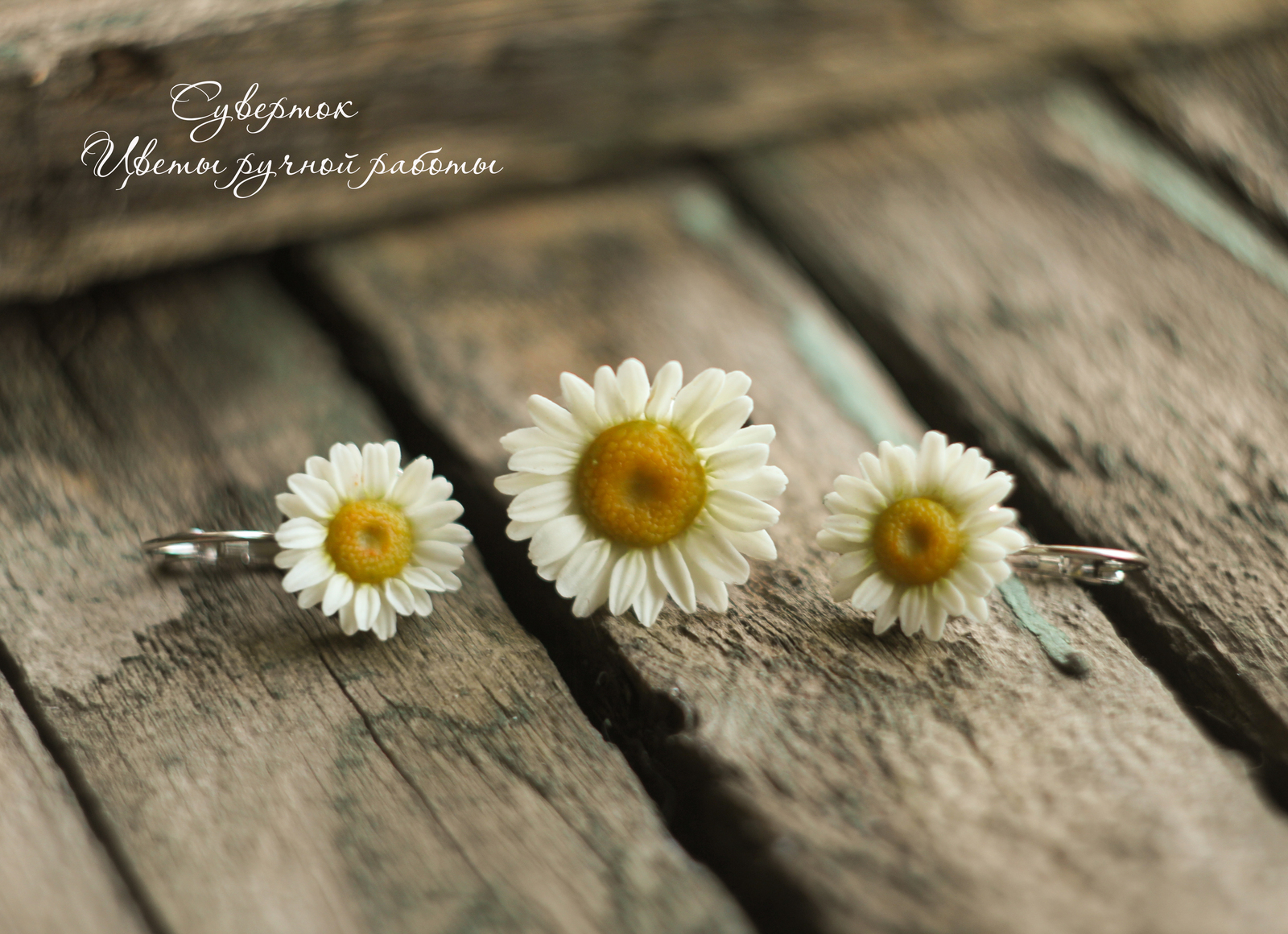 Here's a little summer mood for you: my daisies, molded from cold porcelain - My, Chamomile, Flowers, Handmade, Cold porcelain, Лепка, Earrings, With your own hands, Polymer clay