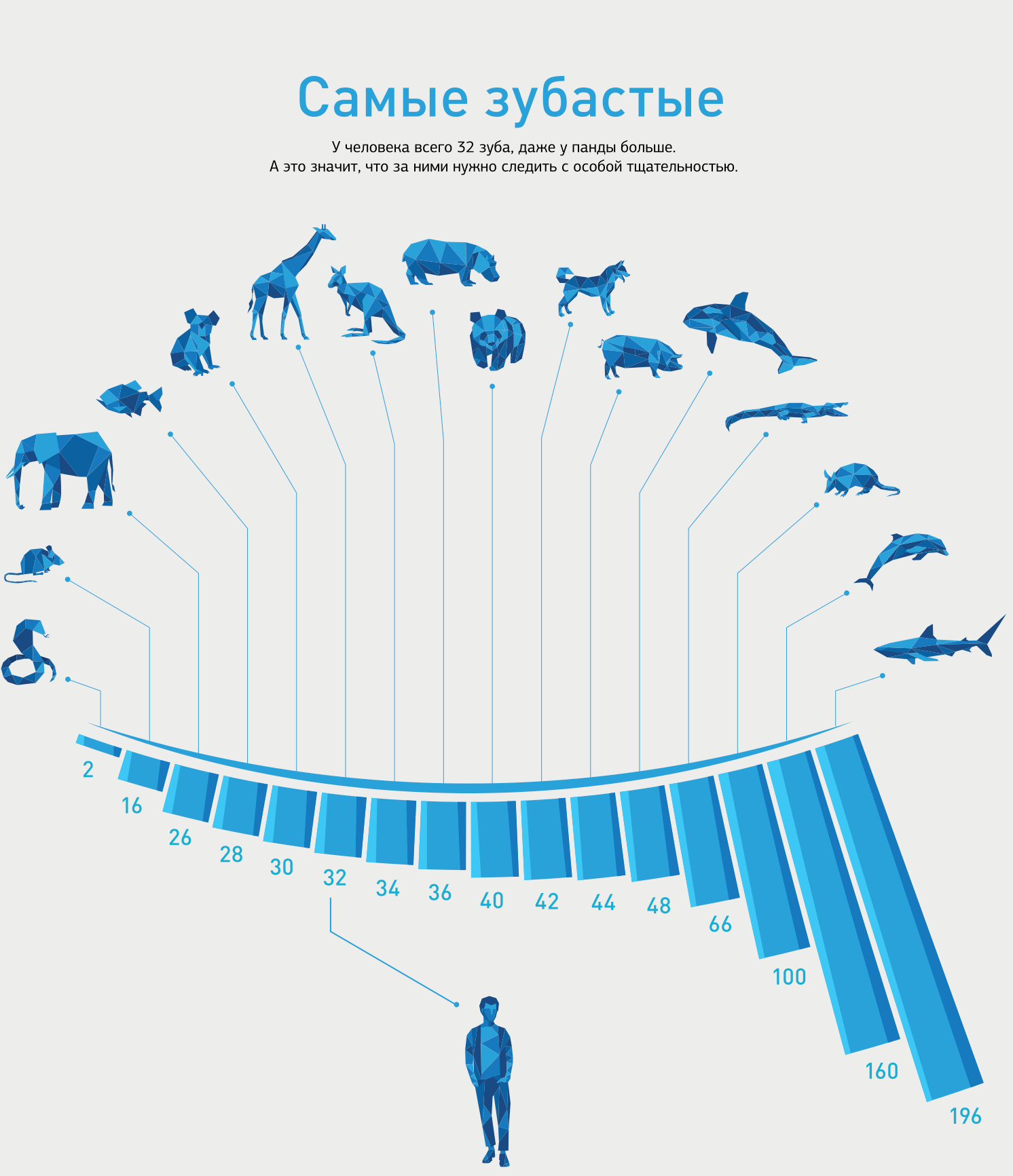 Степень зубастости - Зубы, Саблезубый, Улитки не в счет