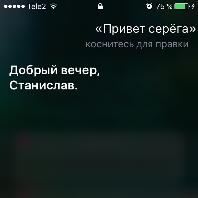 У всех Siri, а у меня Серега о_0 - Моё, Siri, Скриншот