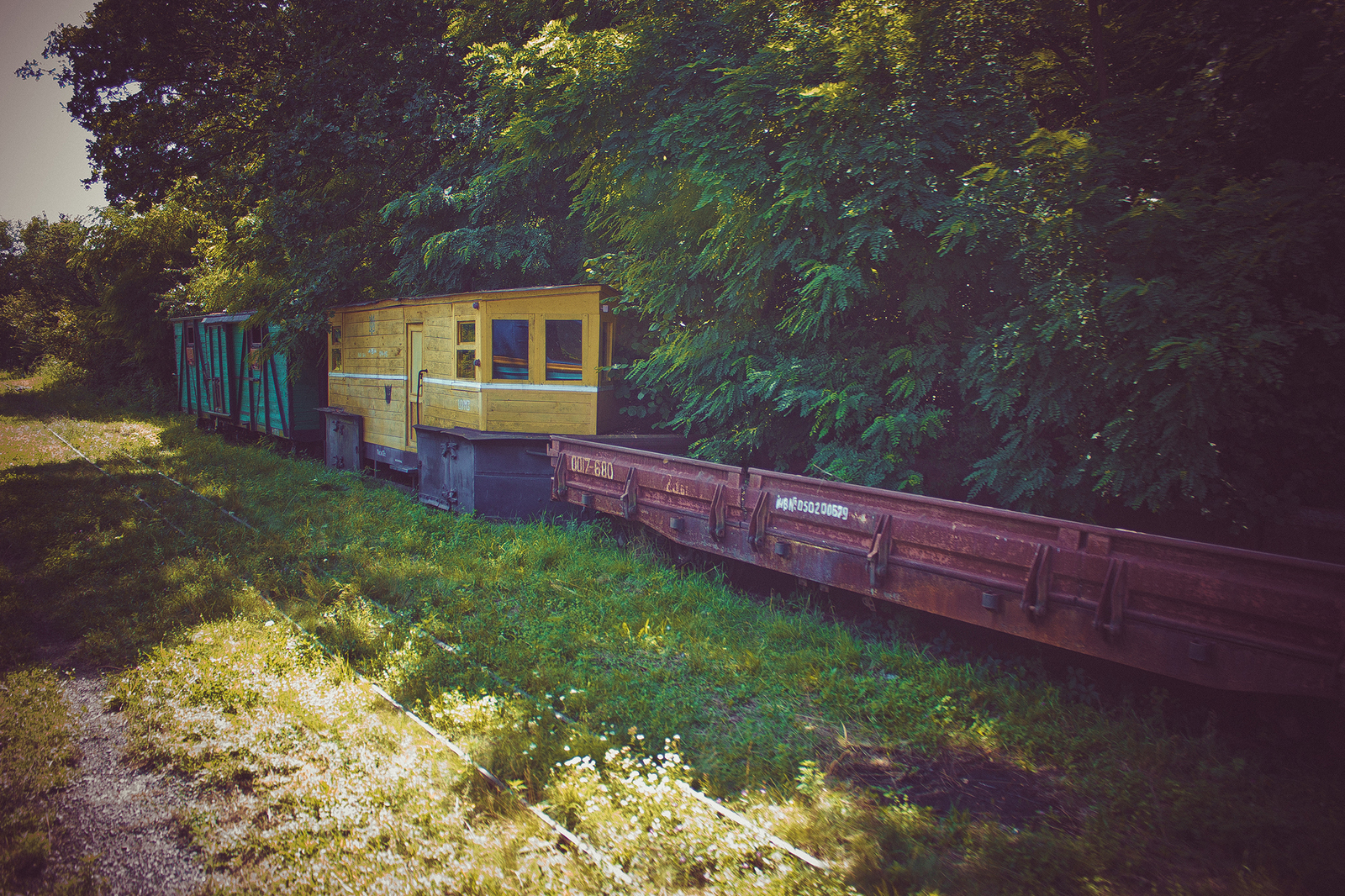 Borzhava narrow gauge railway - My, Narrow gauge, , Rails, A train, , Longpost