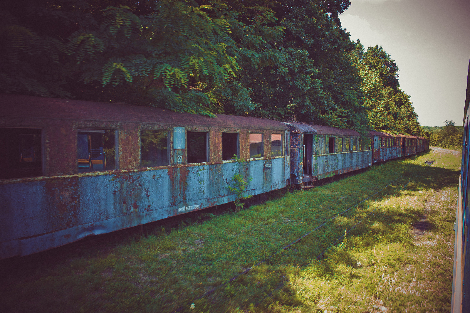 Borzhava narrow gauge railway - My, Narrow gauge, , Rails, A train, , Longpost