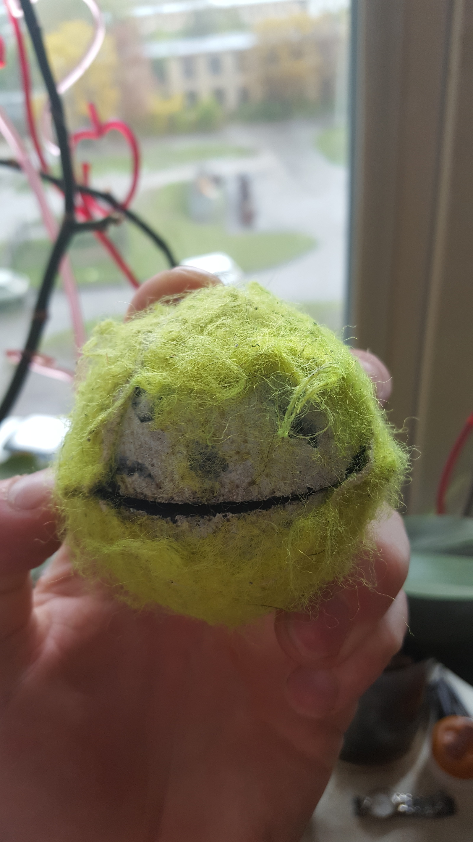 Am I the only one who can see it? - My, Tennis ball, Dog, Longpost