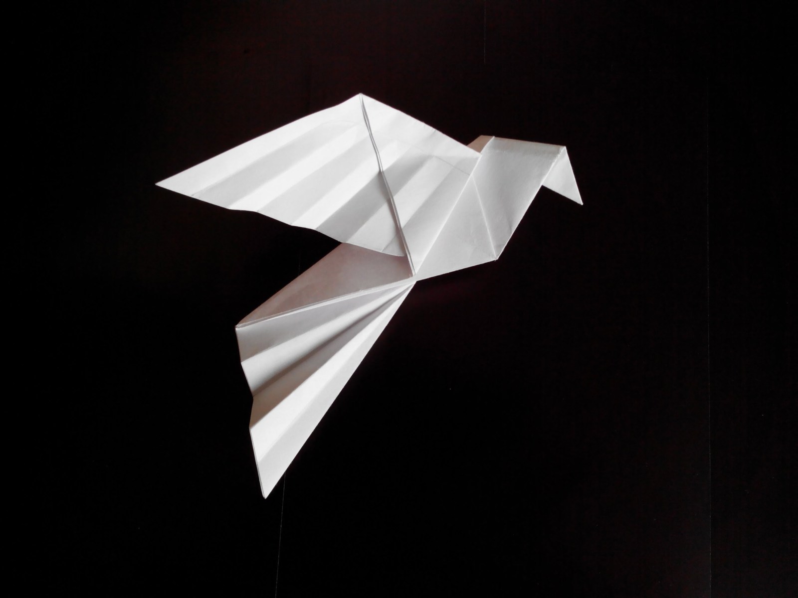 ДНК-оригами: новый вид искусства или технология будущего?