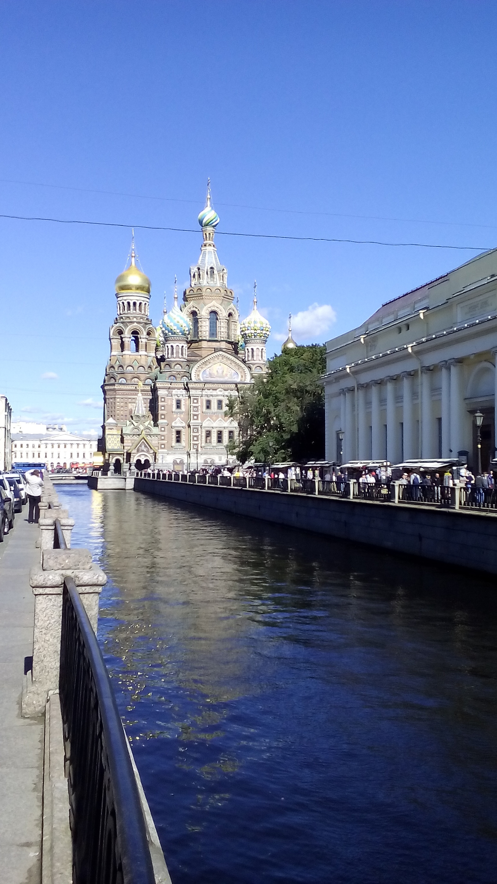 Сапсан | Пикабу