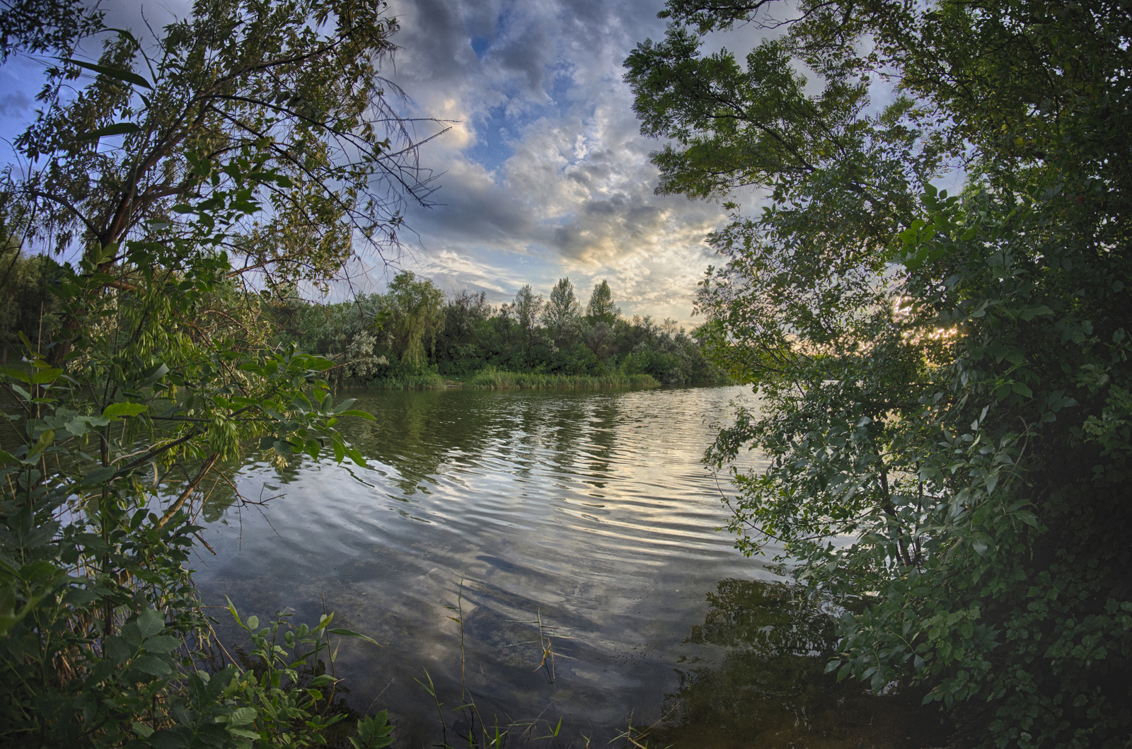 Piece of summer... - My, Summer, Sunset, Gorlovka, Photo, My, Landscape