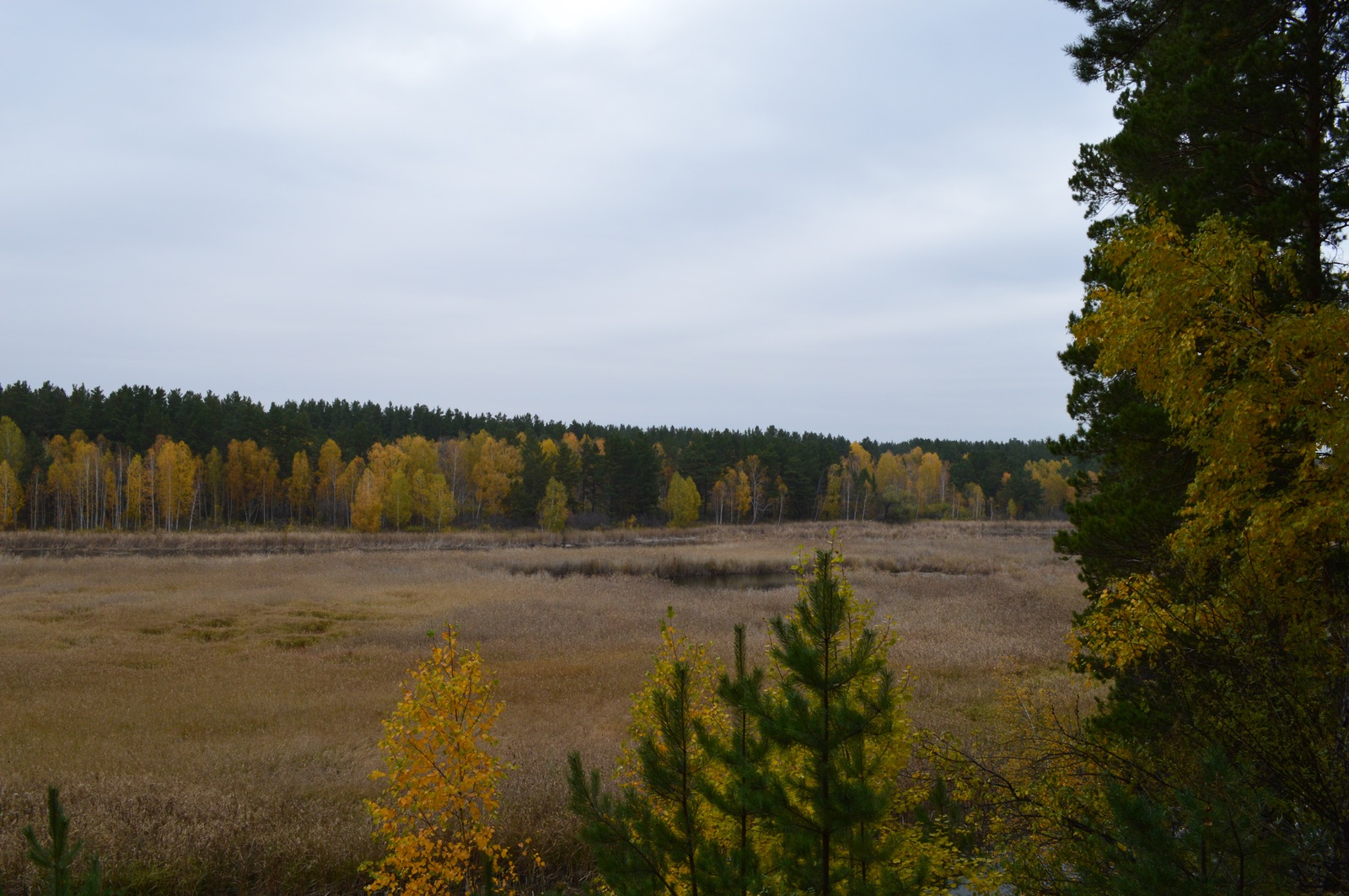 Quiet whisper of the Altai autumn... - My, My, Siberia, Altai, Pavlovsk, Autumn, , Longpost, Altai Republic