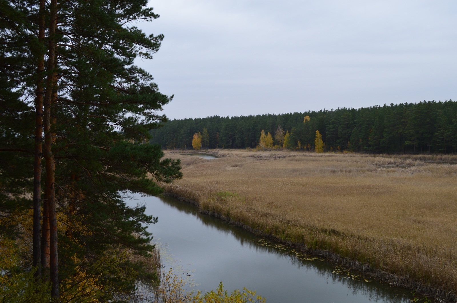 Quiet whisper of the Altai autumn... - My, My, Siberia, Altai, Pavlovsk, Autumn, , Longpost, Altai Republic