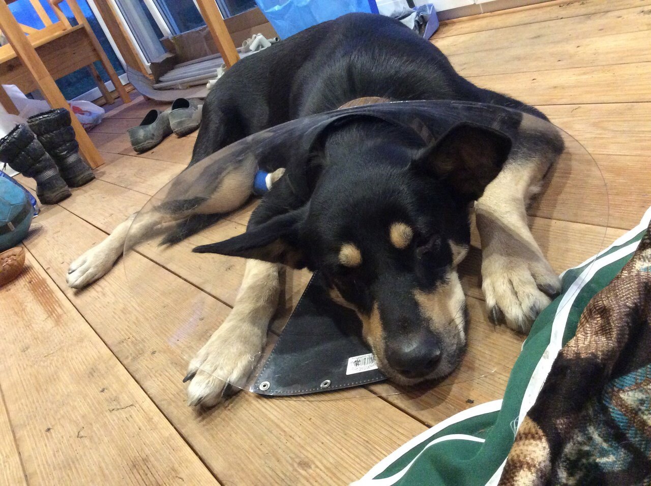 Героический поступок | Пикабу