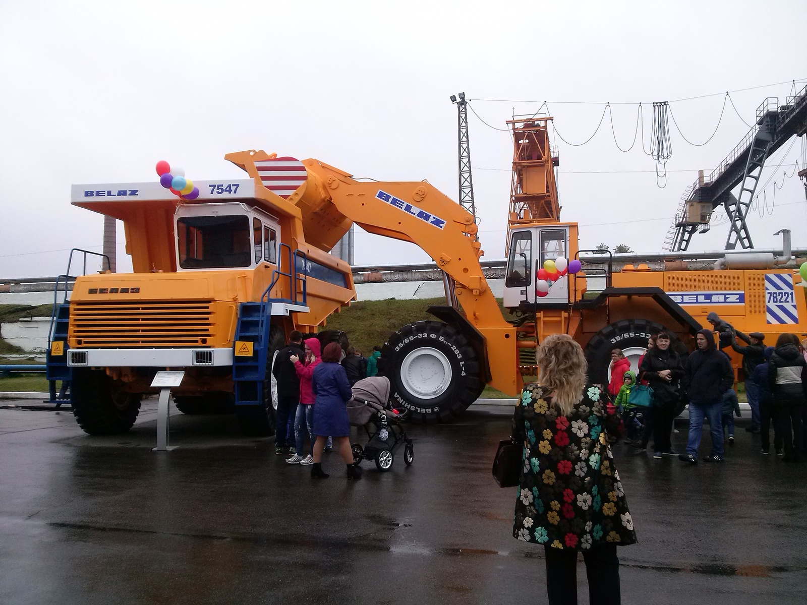 Belaz Day. - My, BelAZ, Auto, Exhibition, Giants, cat, Longpost