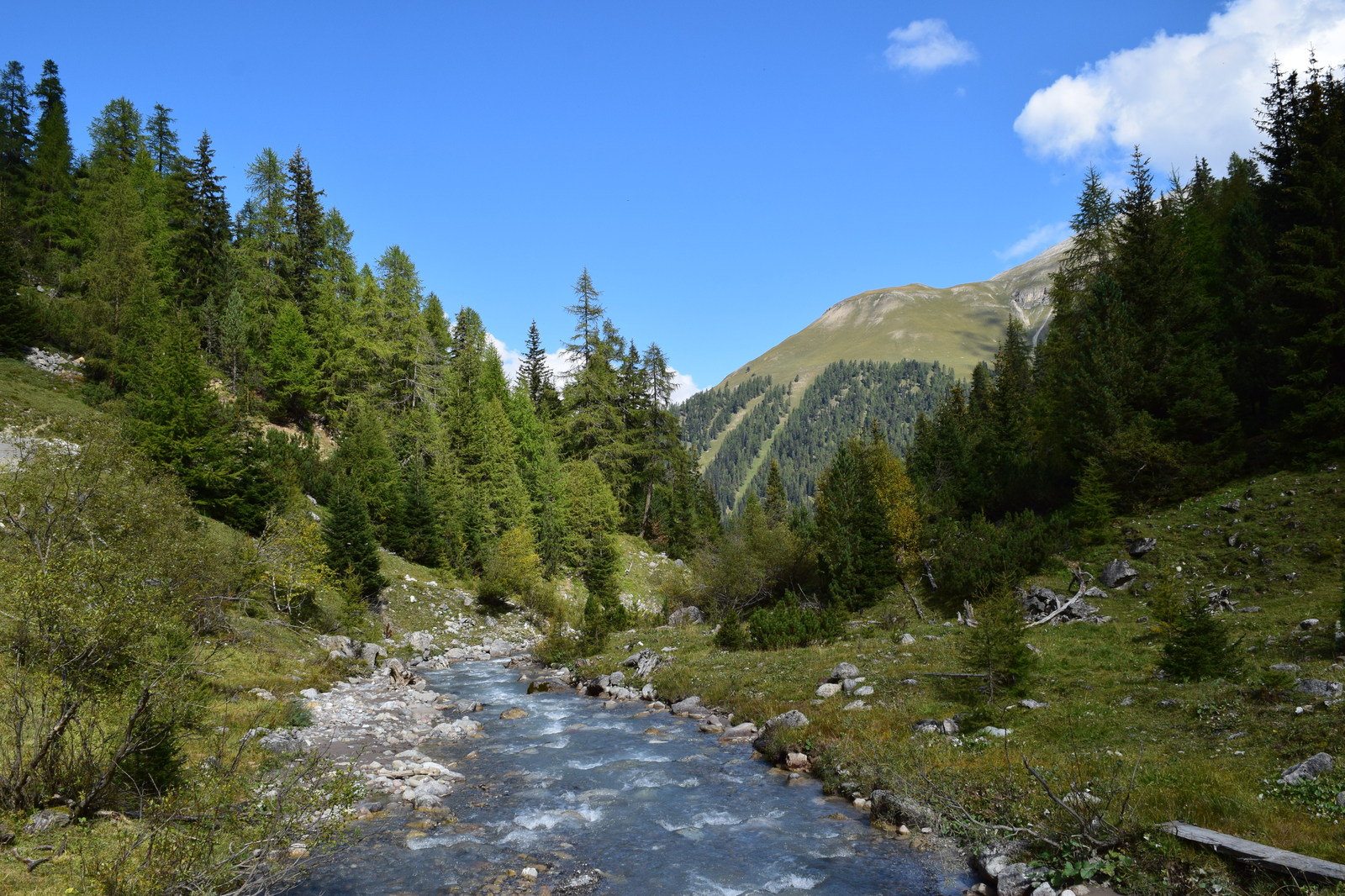 Swiss National Park (Schweizerischer Nationalpark) - My, Photo, Nature, The mountains, Switzerland, Marmot, Longpost