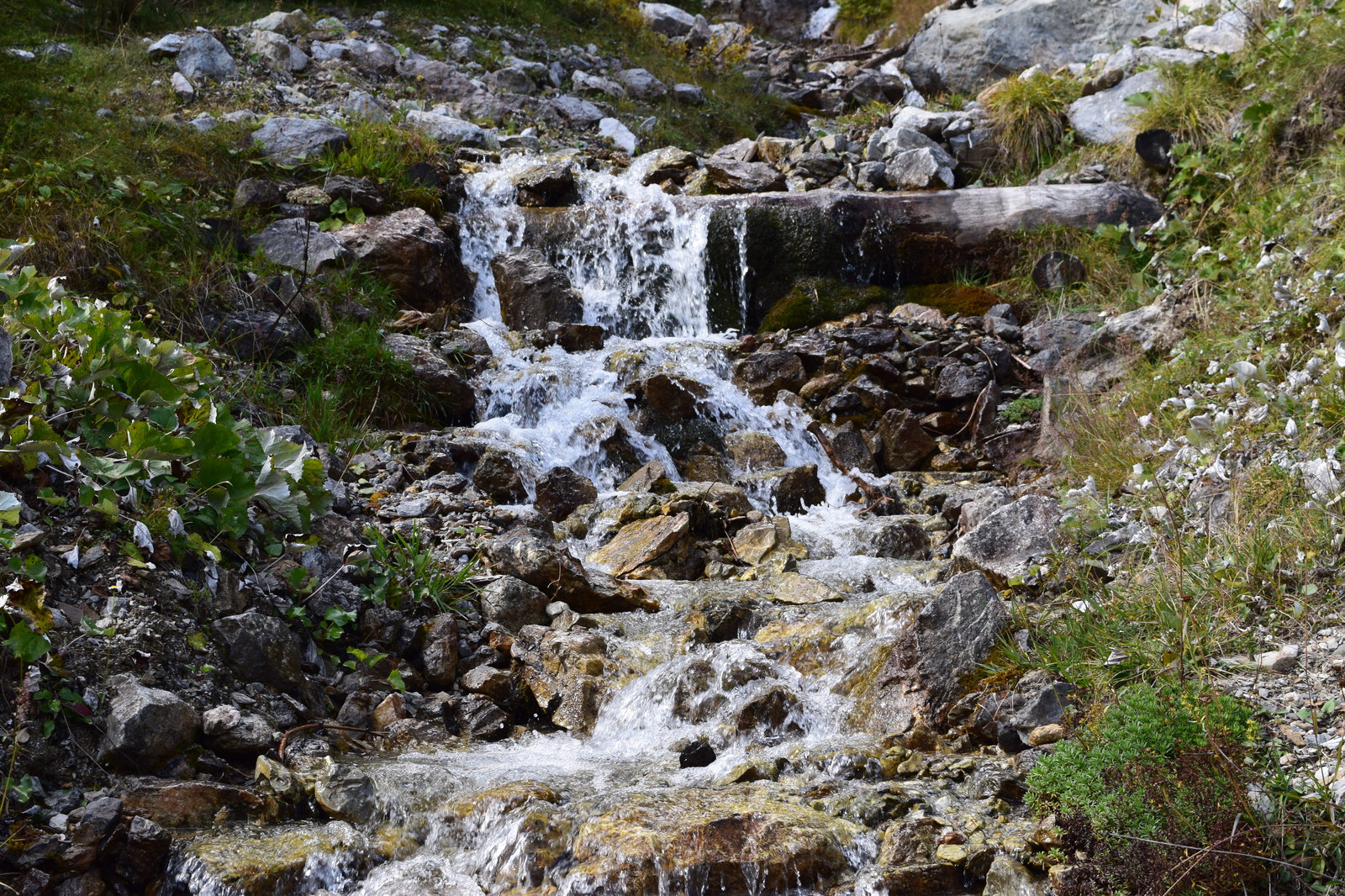 Swiss National Park (Schweizerischer Nationalpark) - My, Photo, Nature, The mountains, Switzerland, Marmot, Longpost