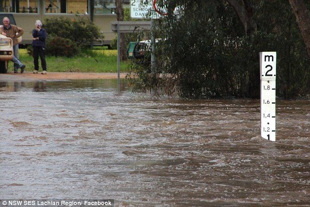 Australia has begun to sink. Photos from the scene - news, Longpost, Photo, Australia, Flood, Catastrophe