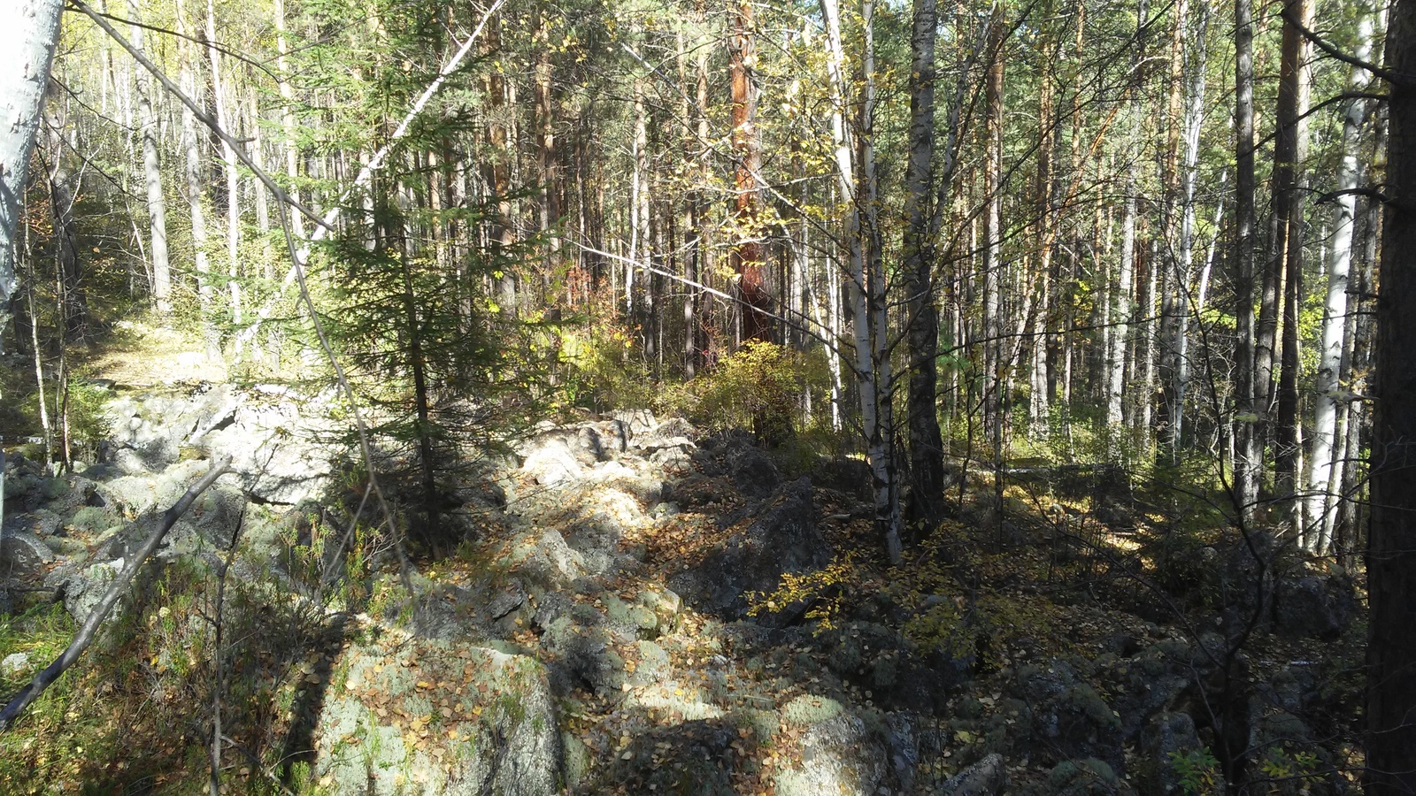 Olkhinsky rock. Autumn. - My, Nature, Skalnik, Longpost