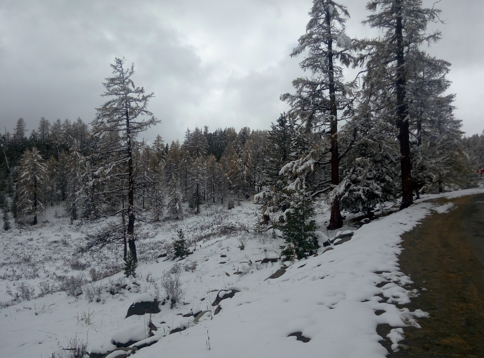 Altai Republic. Ulagansky district. - My, Mountain Altai, Nature, Altai Republic