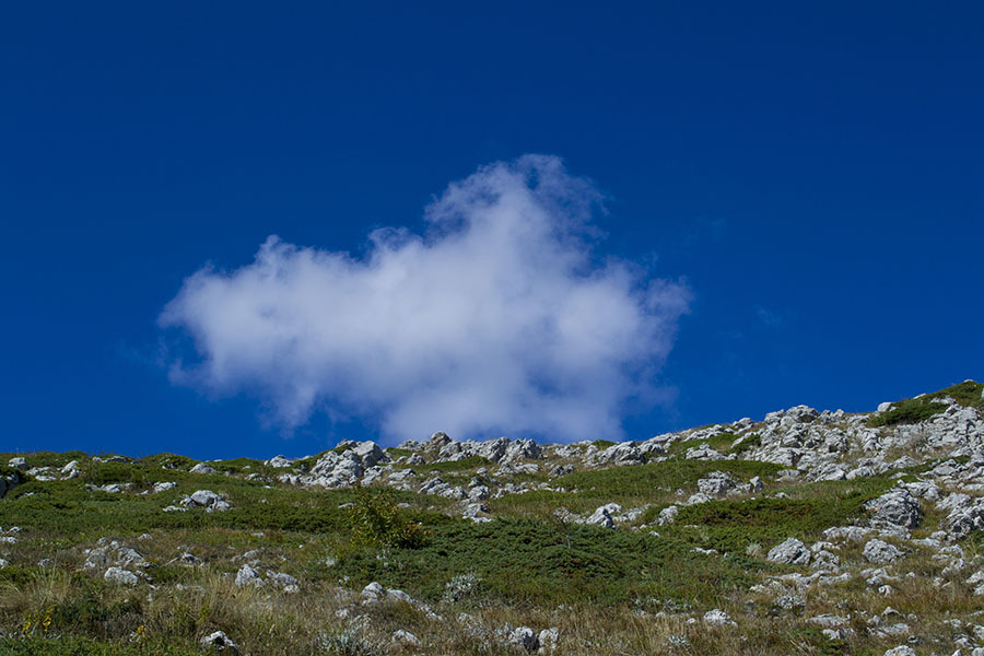 HPD on the Chatyr-Dag plateau (photo report) - My, Crimea, Tracking, Travels, Photo, Hike, Tourism, Adventures, Chatyr-Dag, Longpost